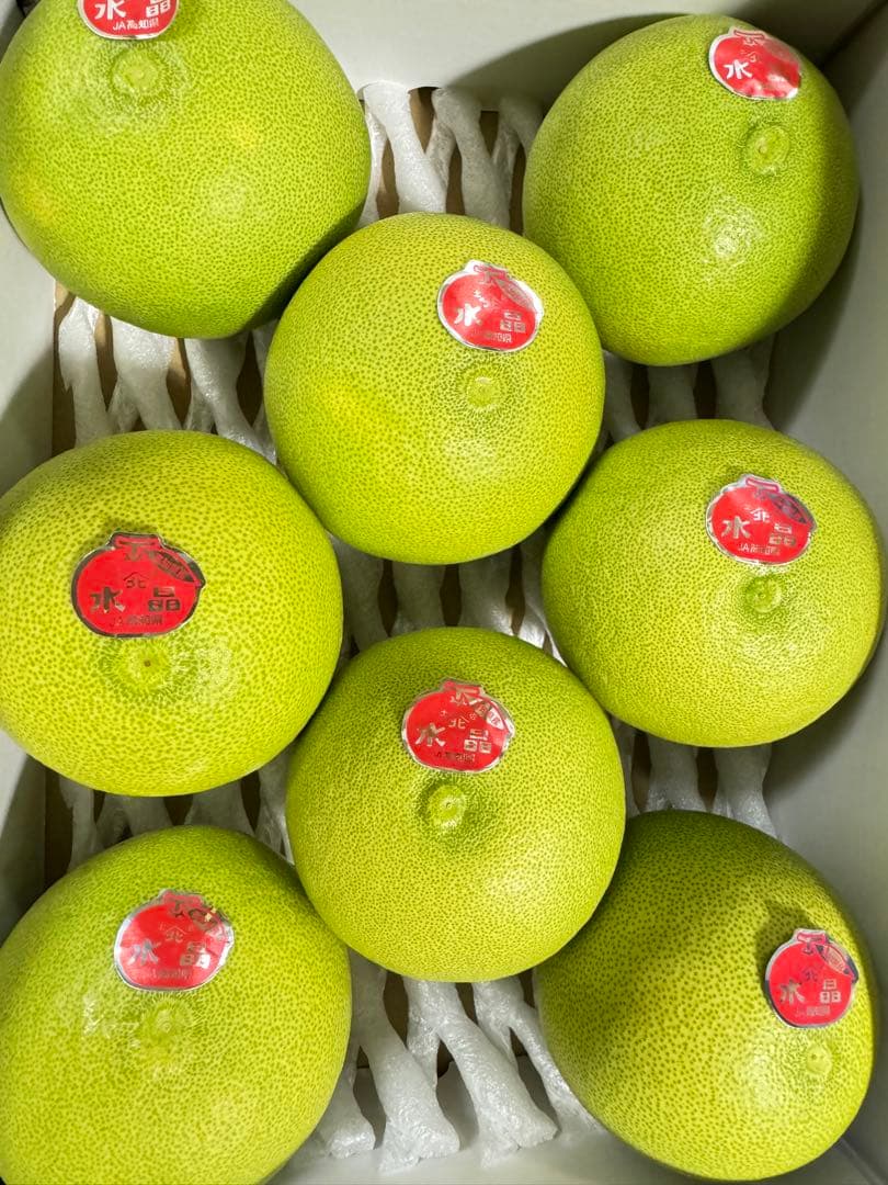 33高知特産 水晶文旦 8～6玉入 約3kg ×4箱文旦 産地直送 送料無料