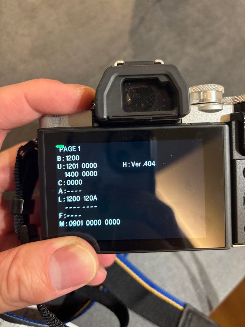 【美品】OLYMPUS OM-D E-M10 Mark 3 本体 レンズ2個