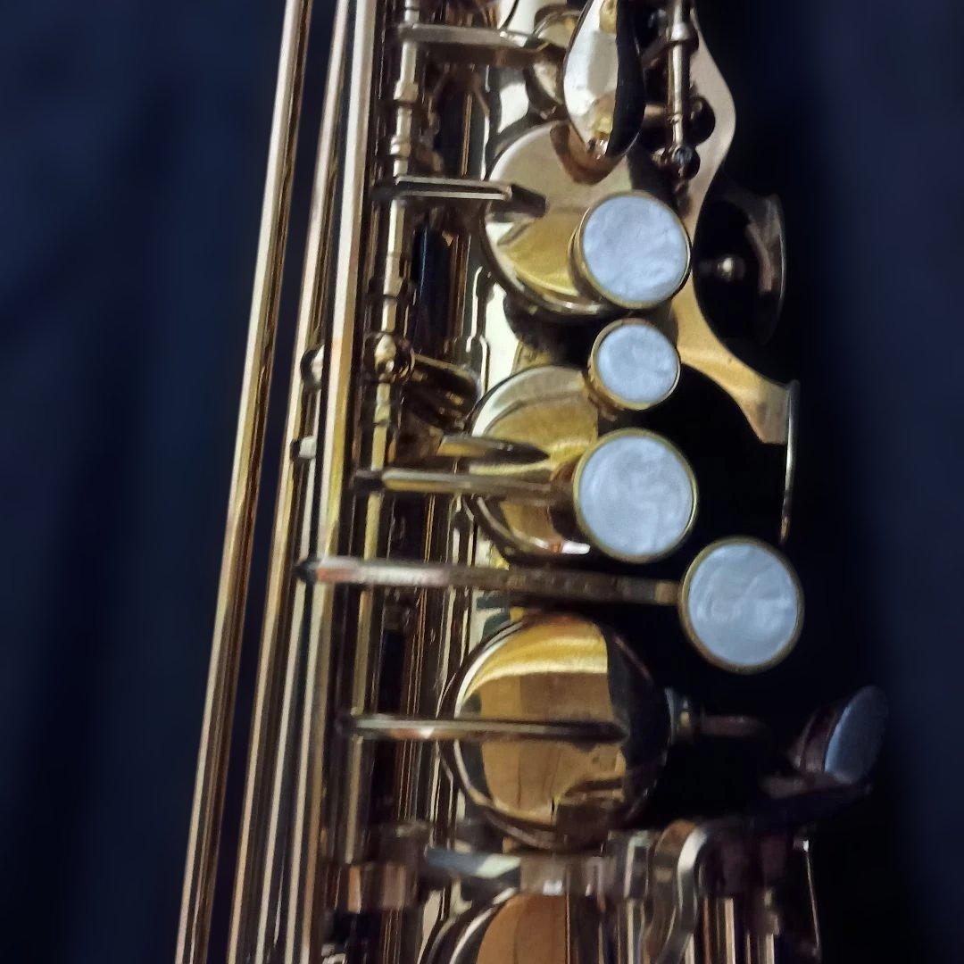 【美品】SELVA アルトサックス　初心者　SAS-100K サクソフォーン