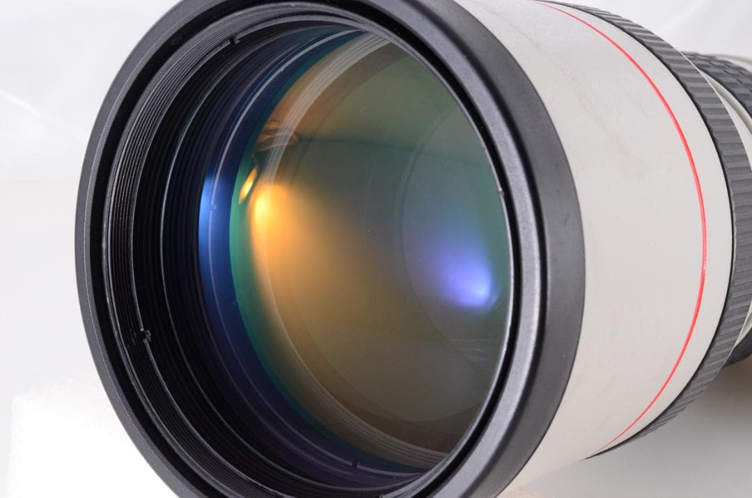 【高性能/望遠単焦点】Canon EF 300mm F4 L USM フィルター