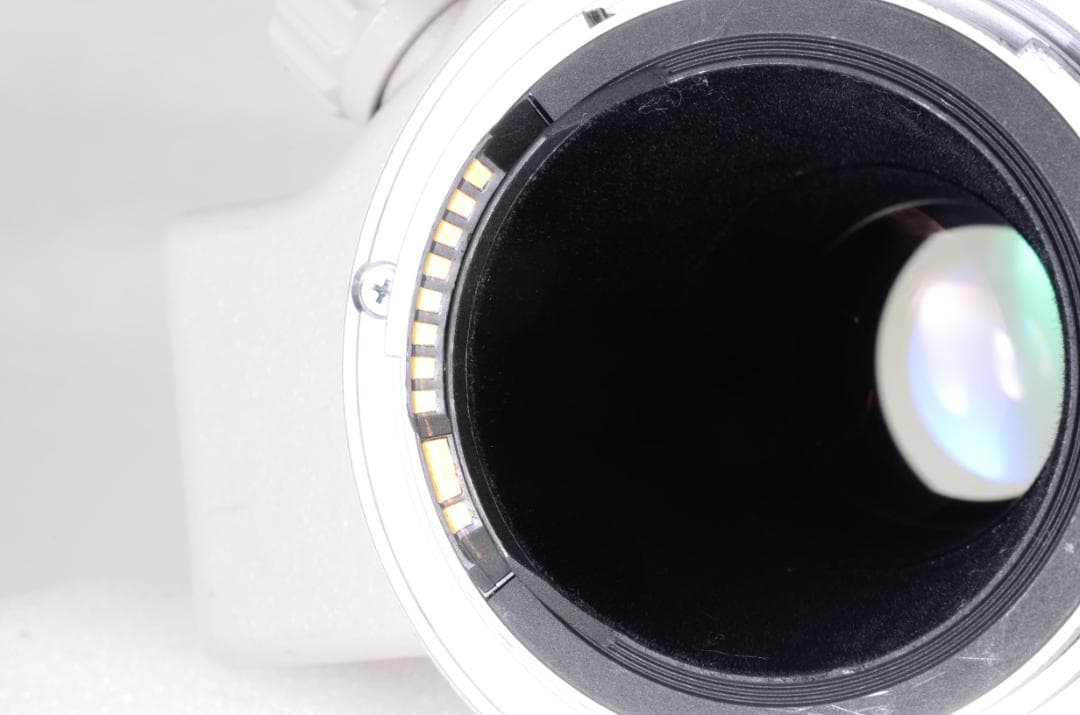 【高性能/望遠単焦点】Canon EF 300mm F4 L USM フィルター