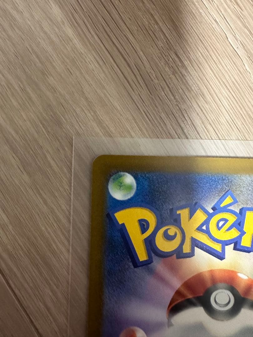 メガカイリューex【SAR】&メガユキメノコ【SAR】