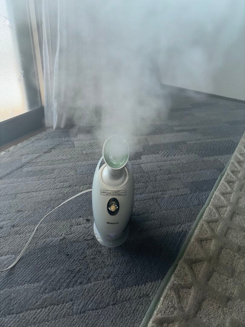 フェイススチーマー ホワイト AC電源