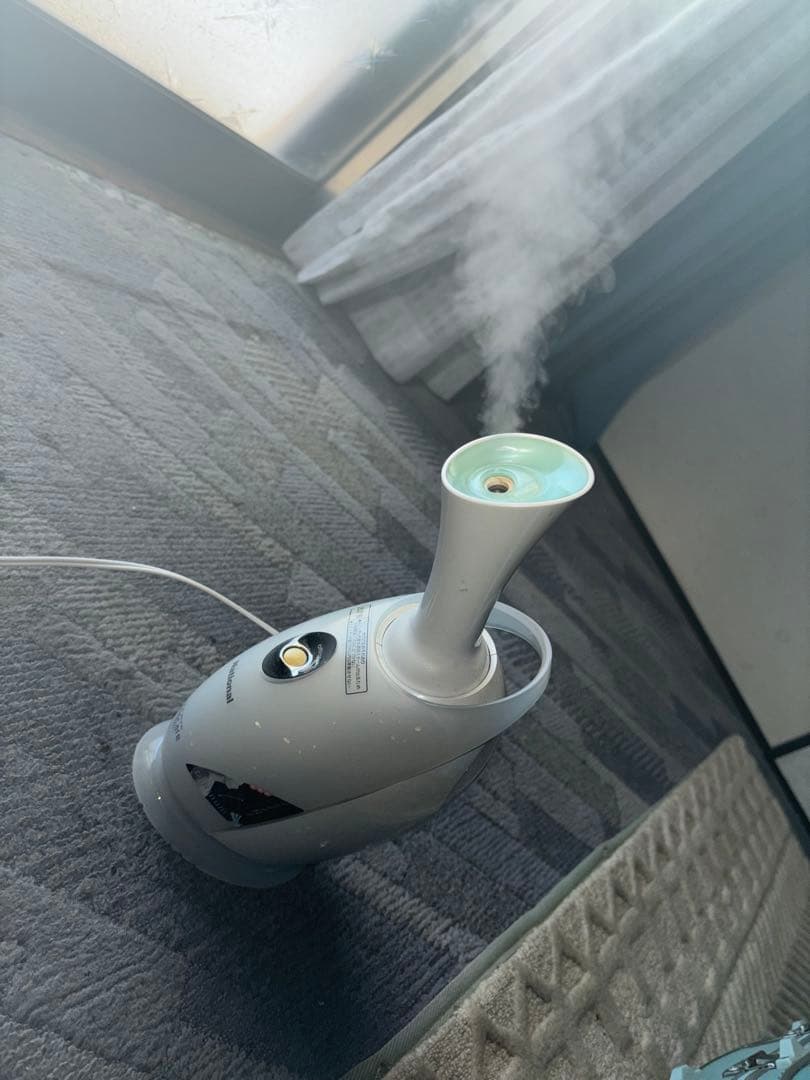 フェイススチーマー ホワイト AC電源