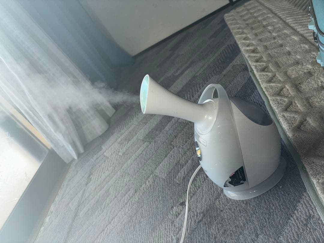 フェイススチーマー ホワイト AC電源