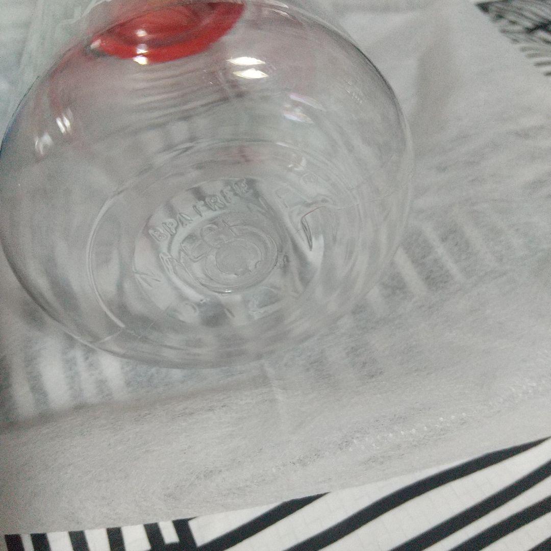 ルークス介岡 ノースフェイス ナルゲンボトル