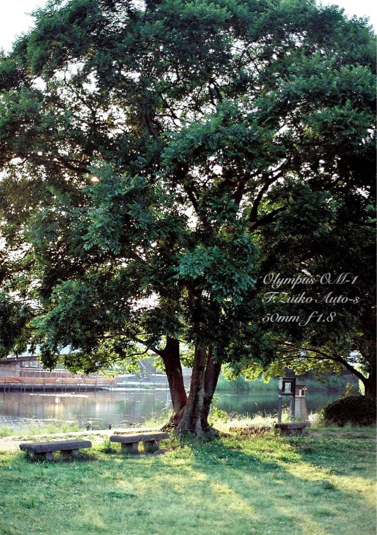 OM-1/zuiko 50mm f1.8★完動品・美品・初期保証！