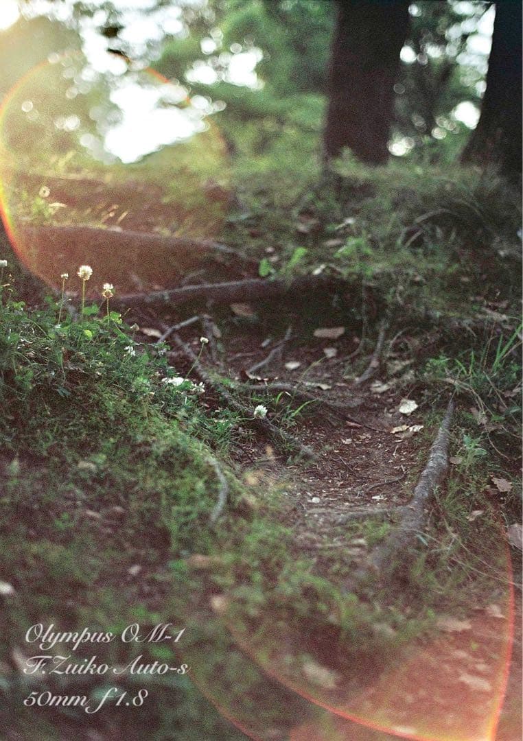 OM-1/zuiko 50mm f1.8★完動品・美品・初期保証！