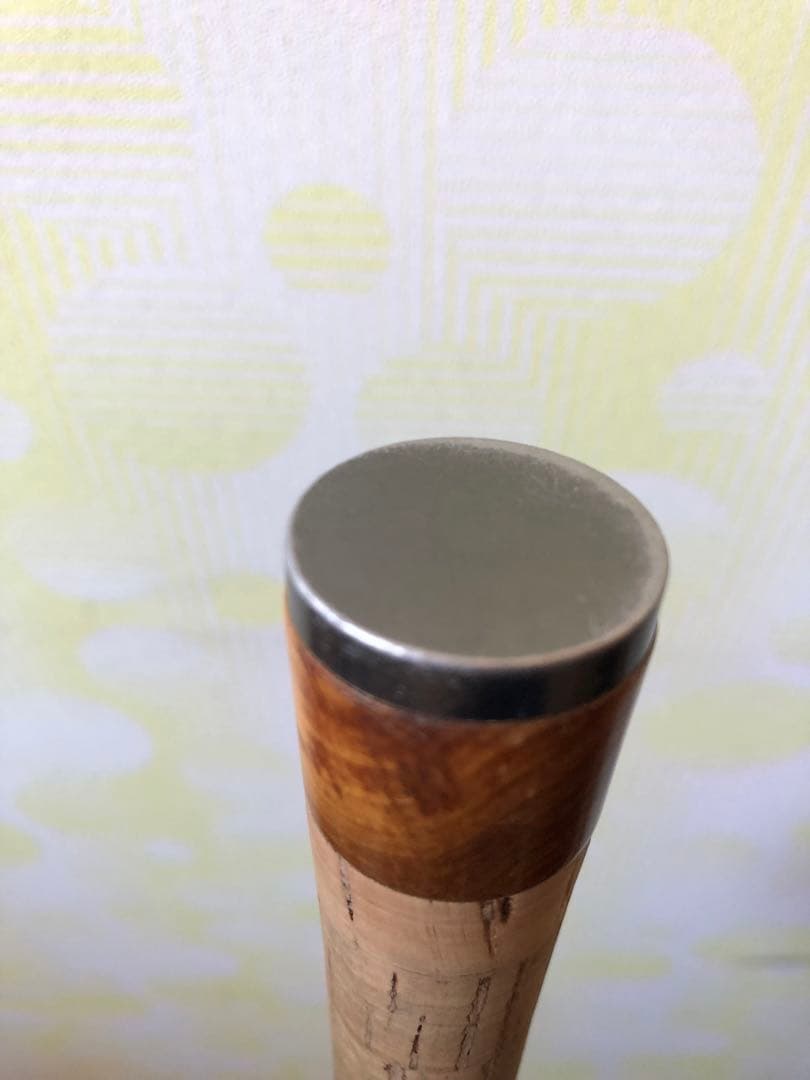 テンリュウ　レイズ