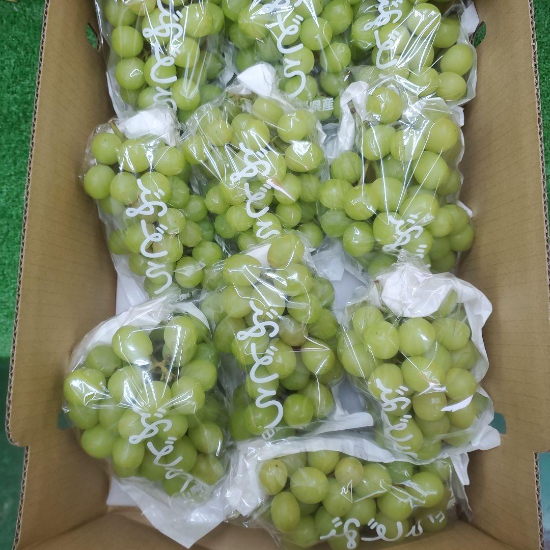 1⃣4️⃣ 山梨県産 シャインマスカット １０房入り 箱込み5.3キロ