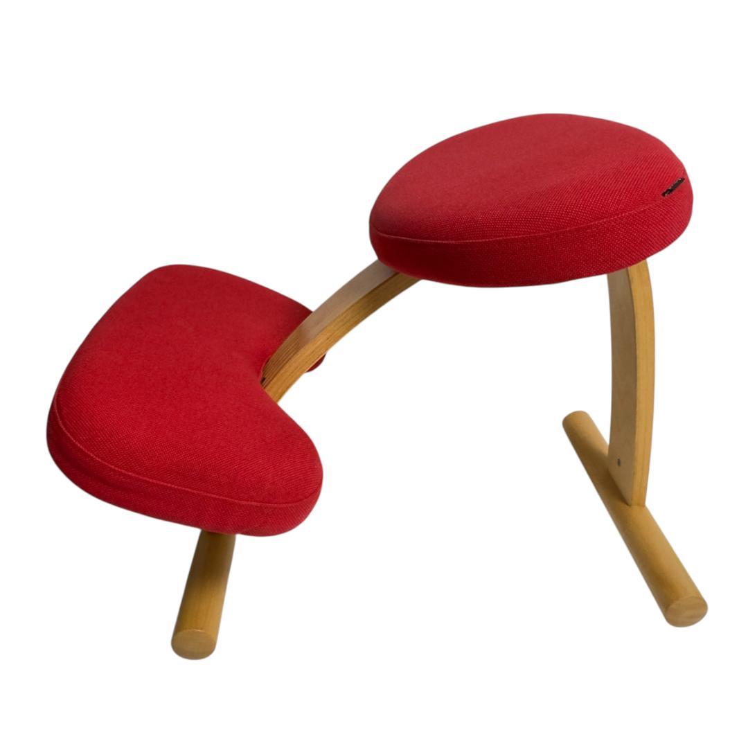 Sakamotoサカモトハウス バランスチェア イージー 姿勢がよくなる