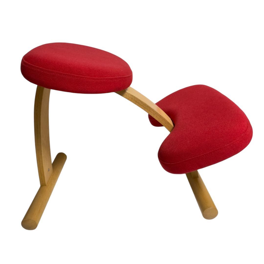 Sakamotoサカモトハウス バランスチェア イージー 姿勢がよくなる