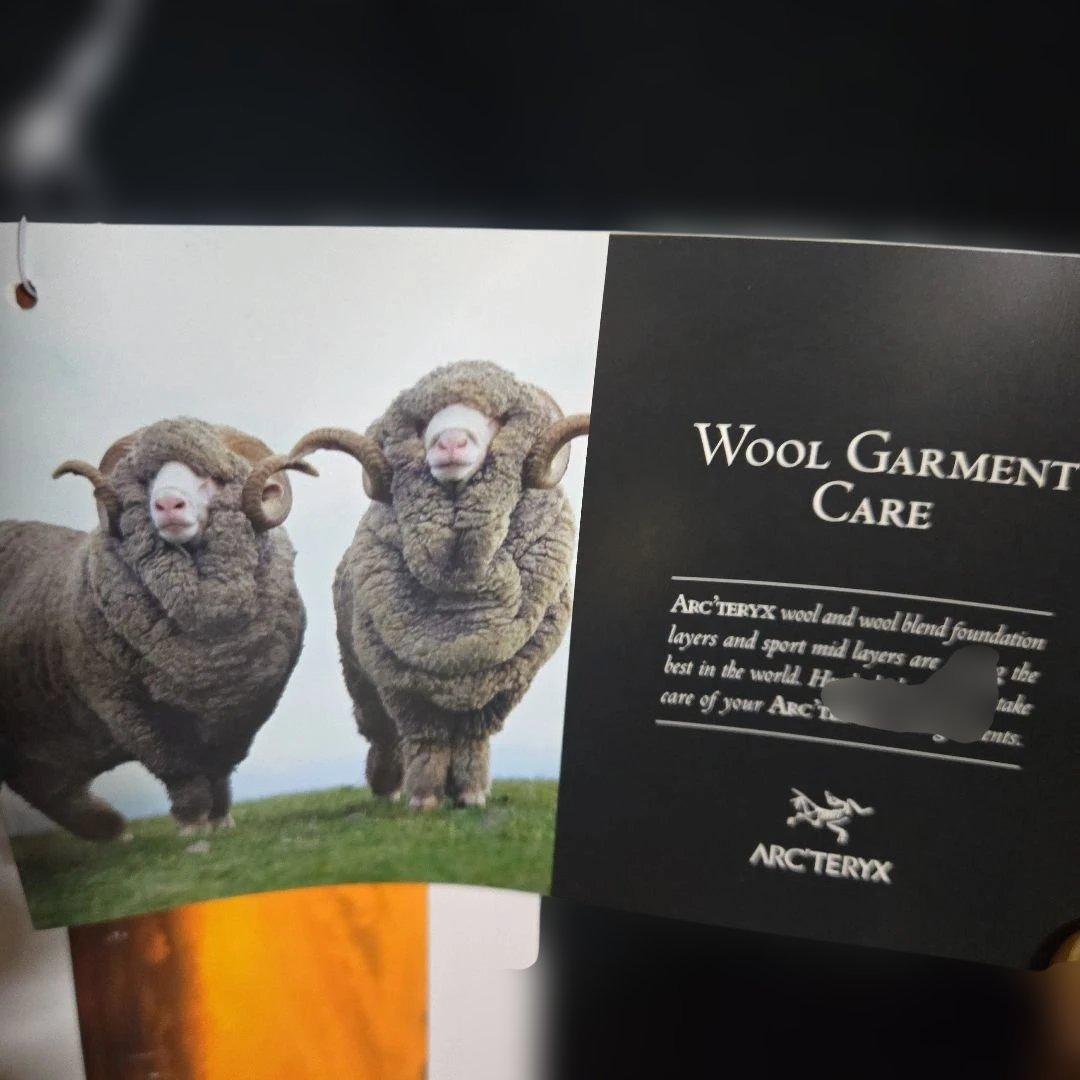 ARC'TERYX アークテリクスハーフジップネック