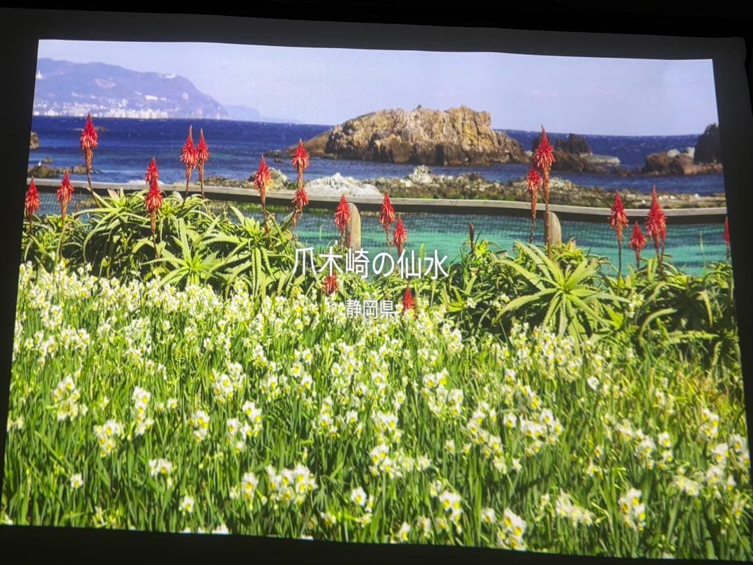 popIn Aladdin 2 プロジェクター　アラジンコネクター２