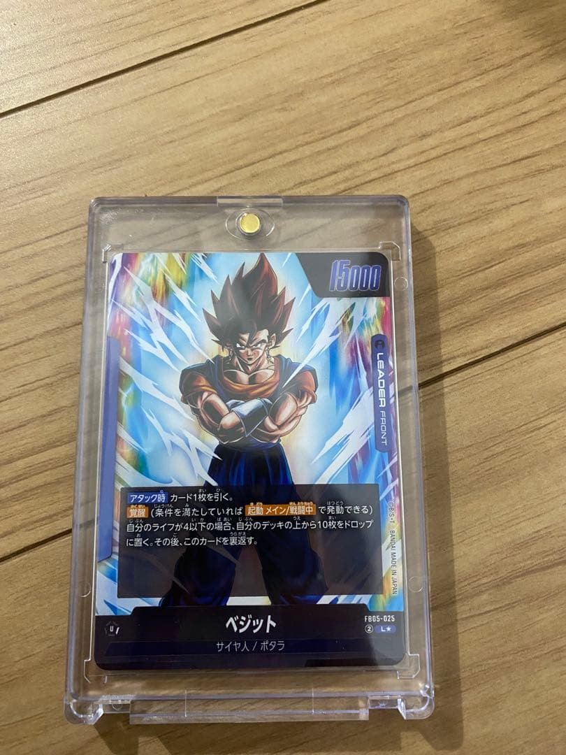 リーダーパラレルベジット