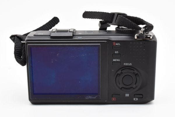 シグマ SIGMA DP2 Merrill