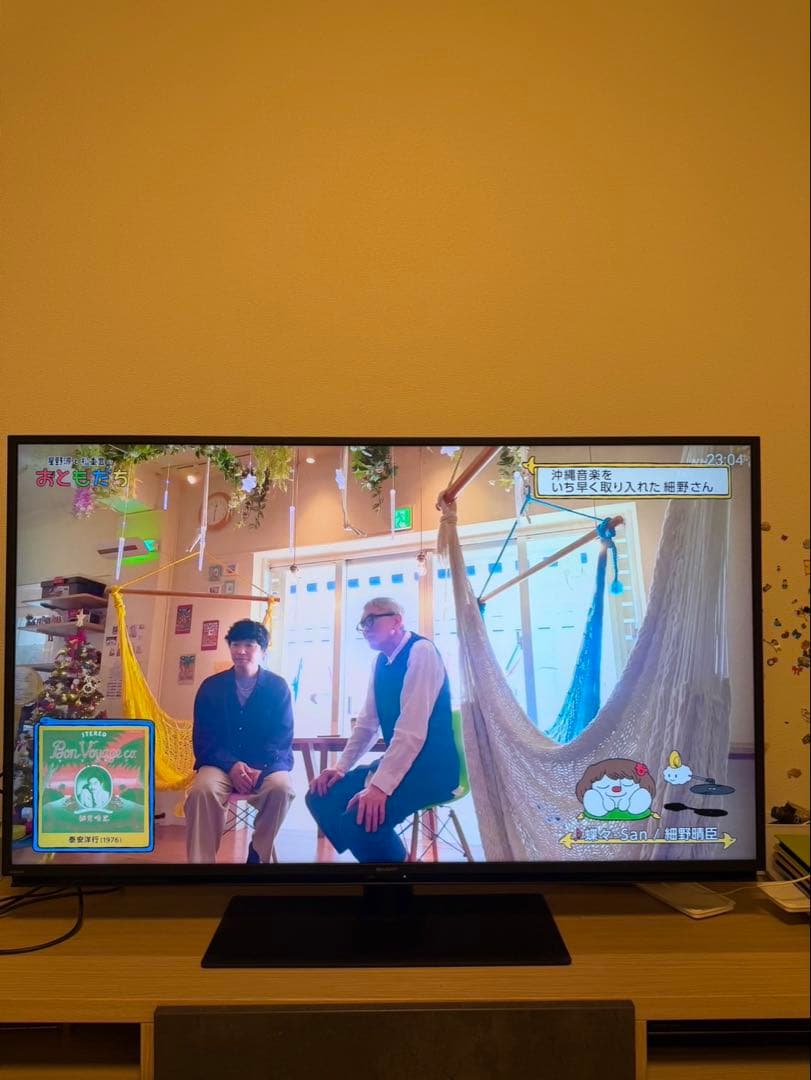 ◽️引き取り限定❗️◽️ SHARP 液晶テレビ 4T-C50DL1