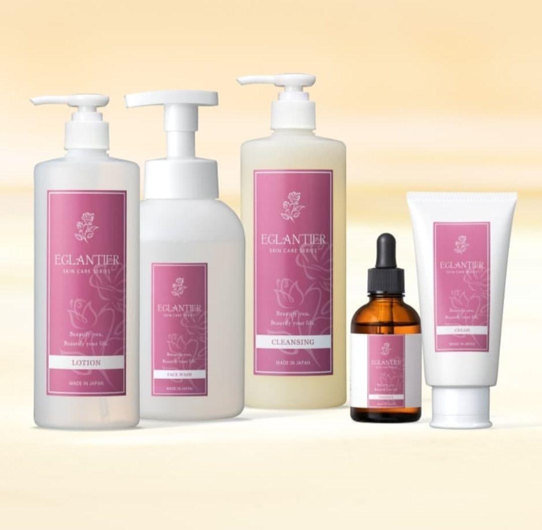 エグランティエリッシュクレンジング500ml ❤️