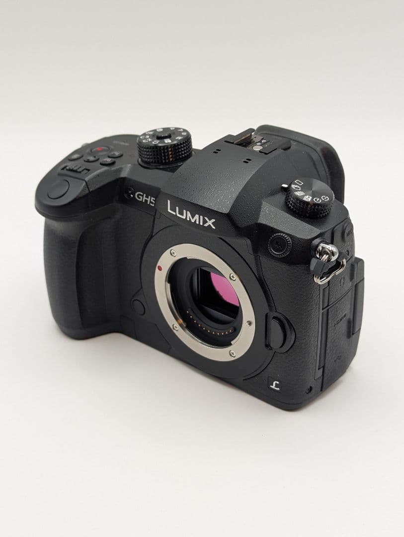 Panasonic LUMIX GH5 RD-SPM049 美品