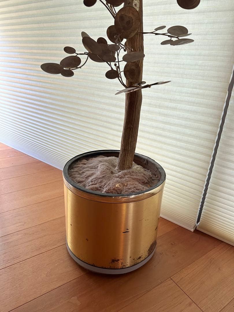 よしーの様用　Curtis Jere 1960年代　brass tree