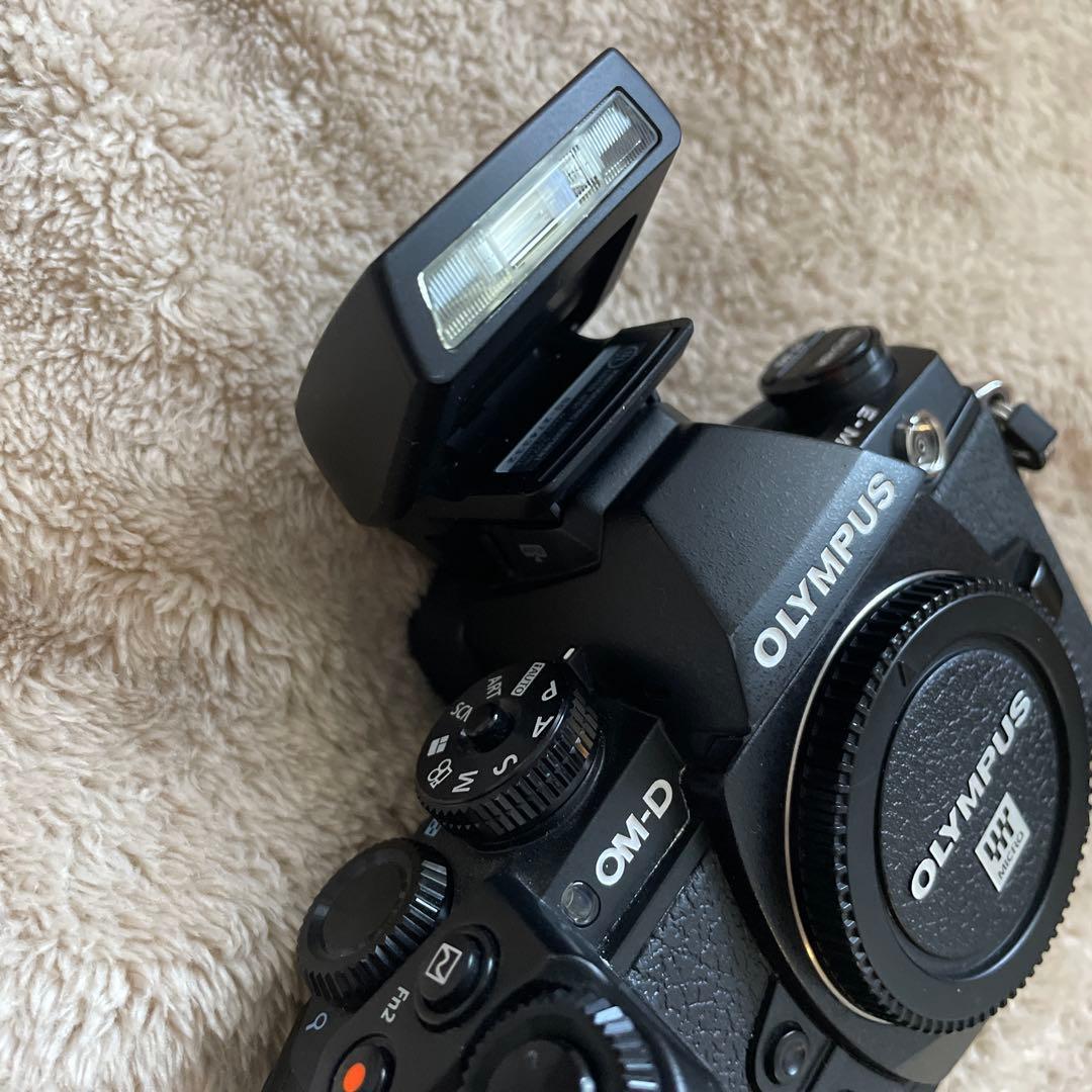 ぶ*ん様 OLYMPUS OM-D E-M1 ミラーレス一眼カメラ
