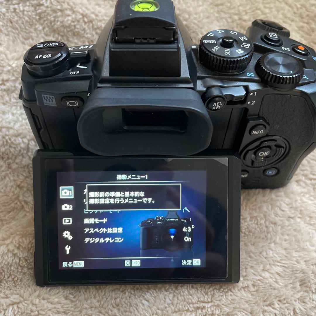 ぶ*ん様 OLYMPUS OM-D E-M1 ミラーレス一眼カメラ