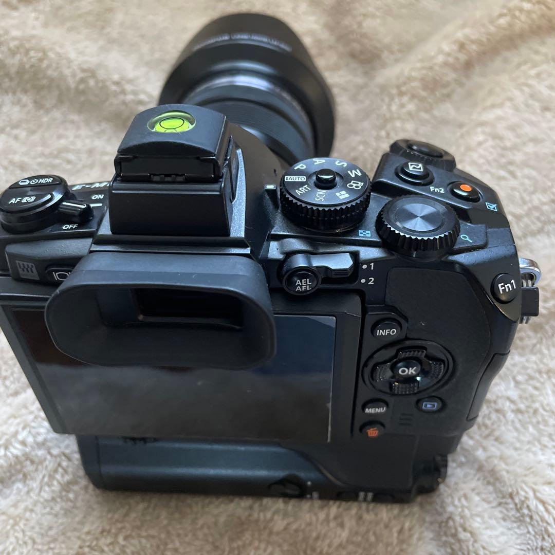 ぶ*ん様 OLYMPUS OM-D E-M1 ミラーレス一眼カメラ