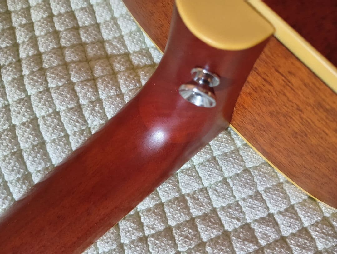 Fender DG-16NATアコースティックギターハードケース、ピックアップ付