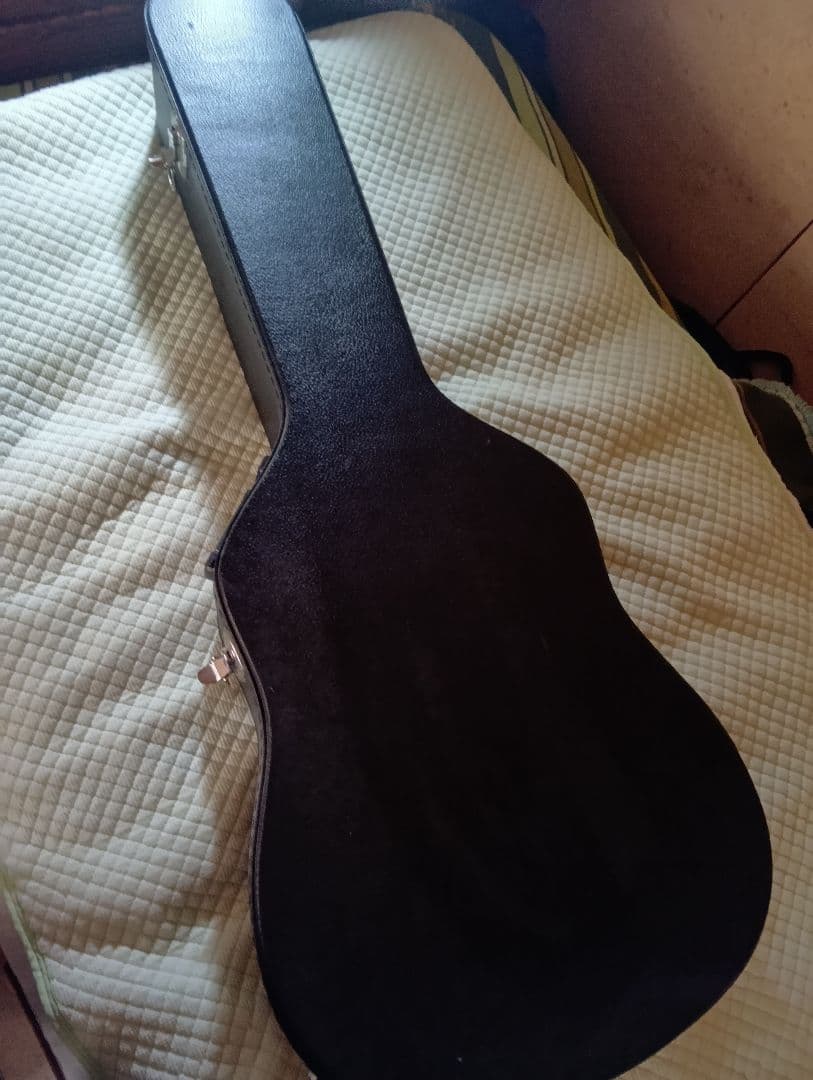 Fender DG-16NATアコースティックギターハードケース、ピックアップ付