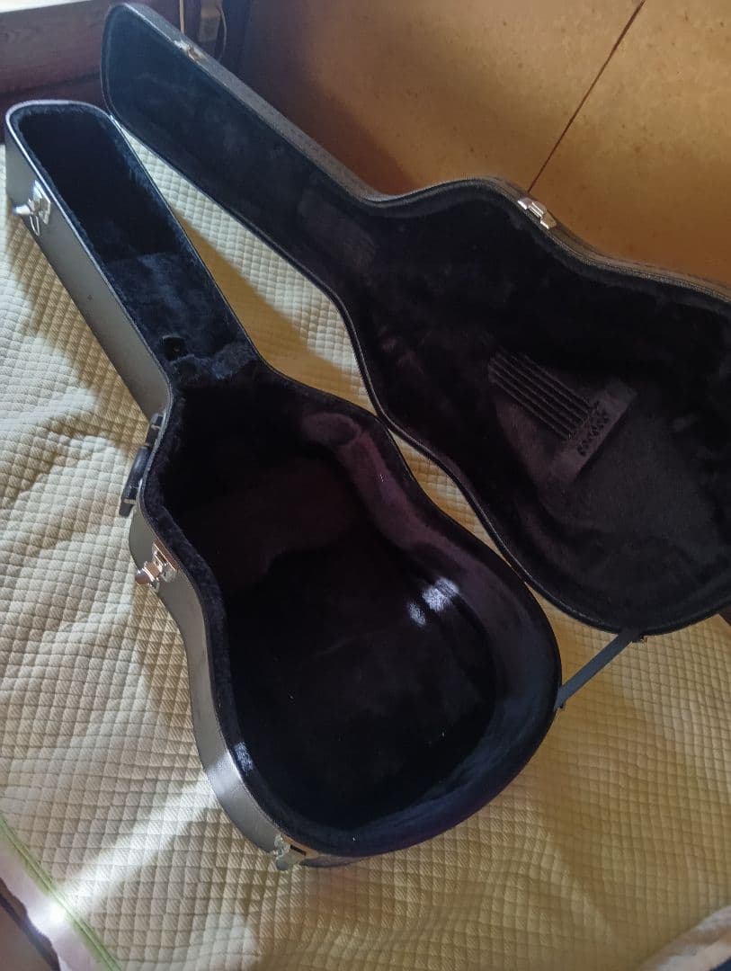 Fender DG-16NATアコースティックギターハードケース、ピックアップ付