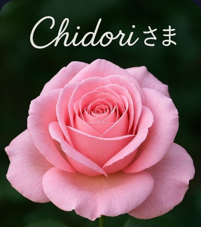 Chidori画像おまとめ