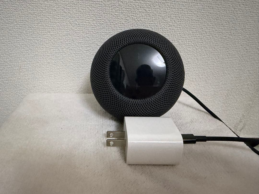 Apple Pod mini 黒　ブラック　美(A2374 )