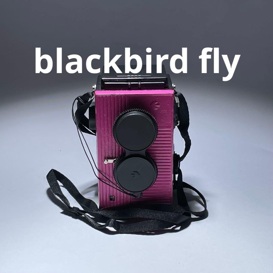 blackbird fly 二眼レフ　トイカメラ