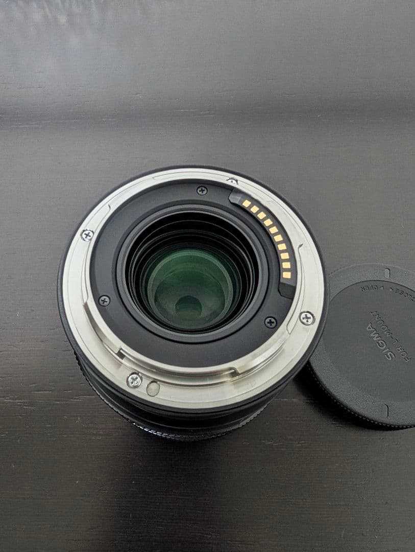 おる Panasonic LUMIX S9 + SIGMA 50mm