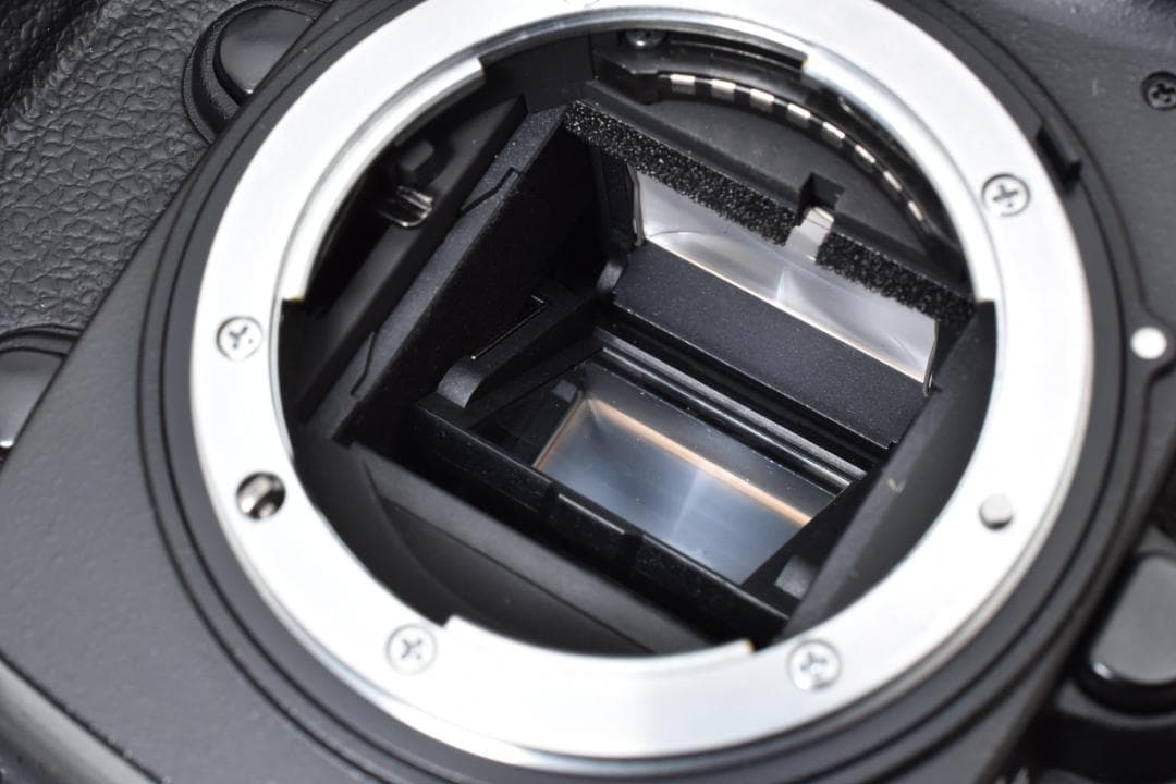 超美品 NIKON ニコン D200 デジタル ボディ H008