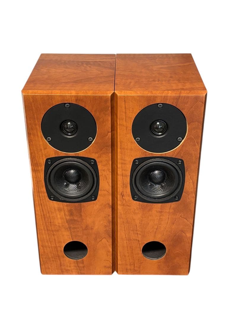 FOSTEX スピーカー　P2080-E