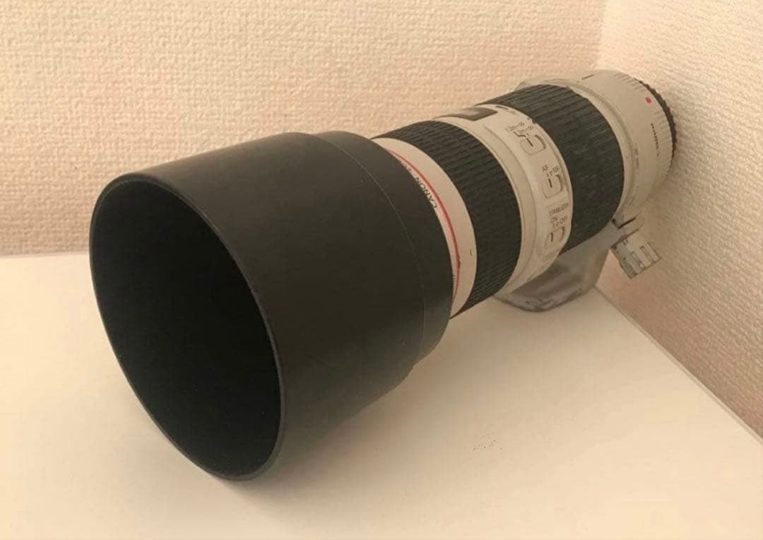 Canon EF70-200mm F4 L IS USM 手ブレ補正 動作良好