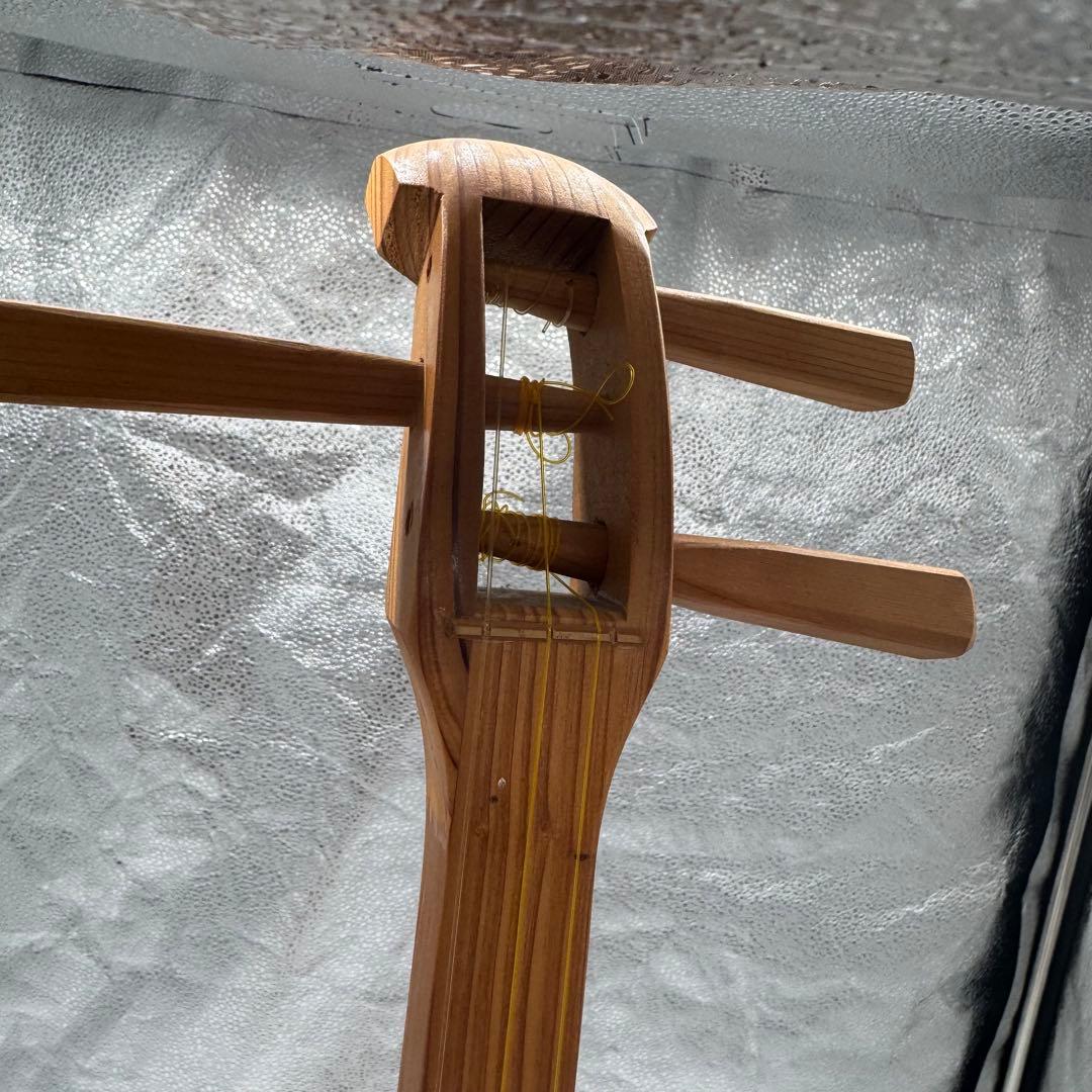 板三味線　ゴッタン