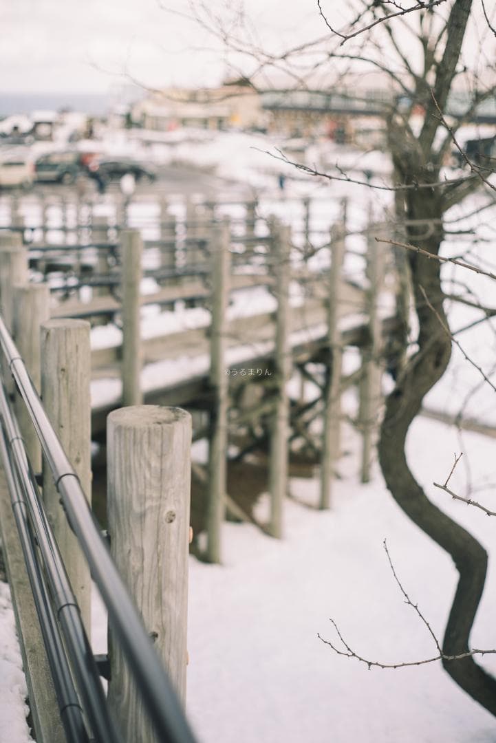 yu様　黄変なし光学美品！PENTAX Super-Takumar 55mm