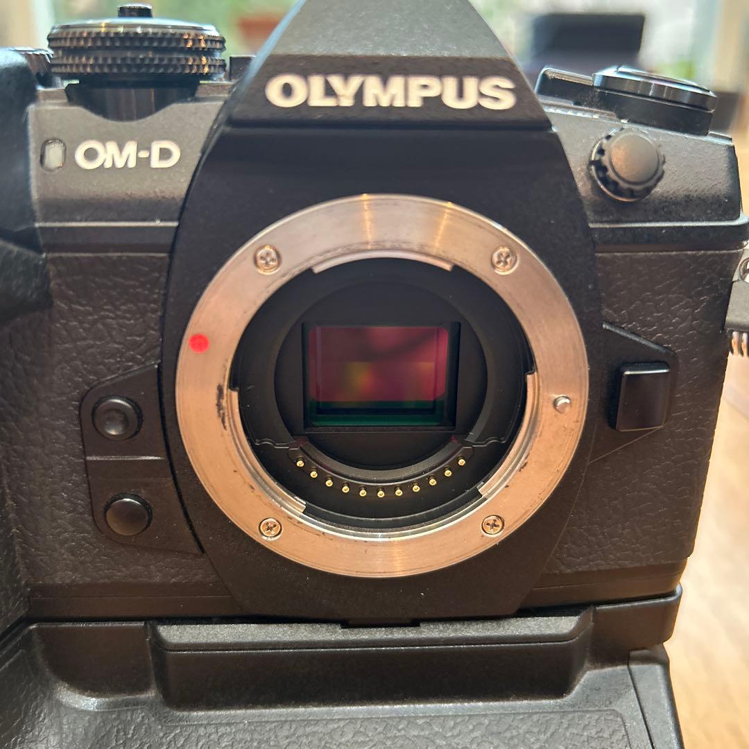 OLYMPUS OM-D E-M1 Mark II 本体　とバッテリーホルダー他
