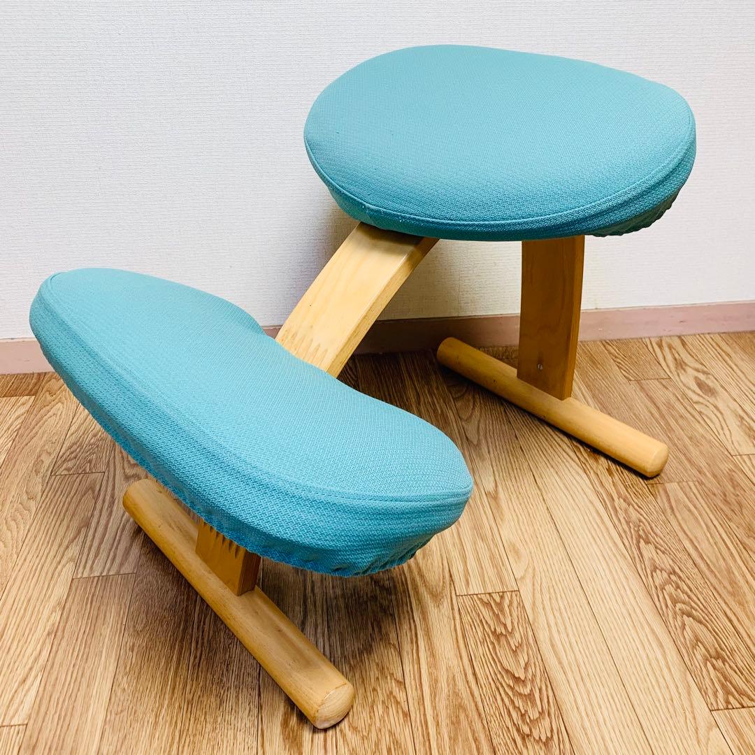 バランスチェア イージー カバー付 サカモトハウス (現バランスラボ）調節ガイド