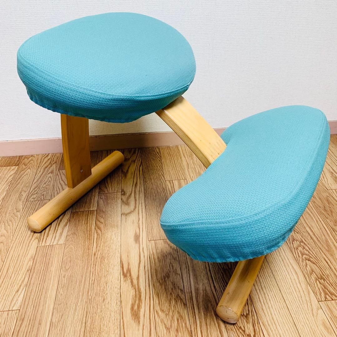 バランスチェア イージー カバー付 サカモトハウス (現バランスラボ）調節ガイド