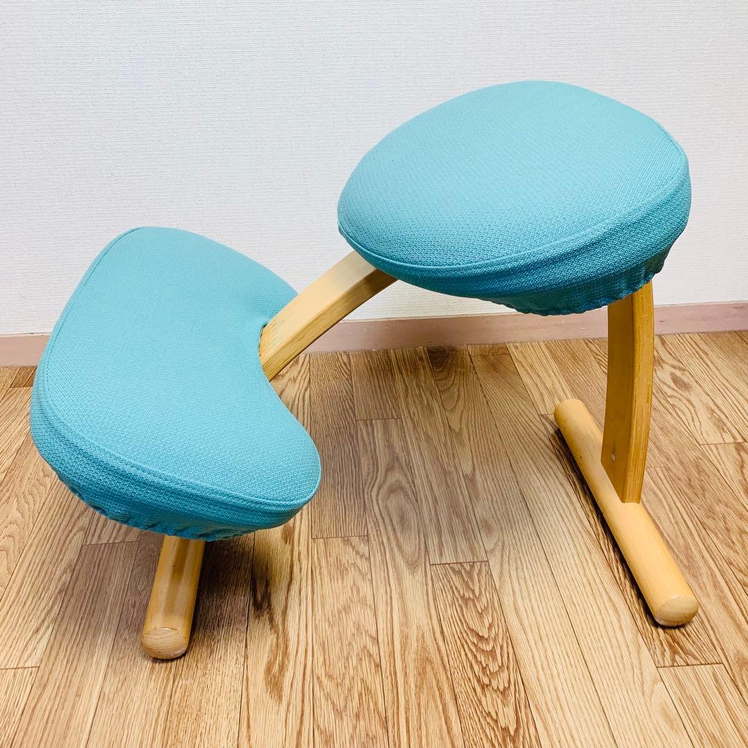 バランスチェア イージー カバー付 サカモトハウス (現バランスラボ）調節ガイド