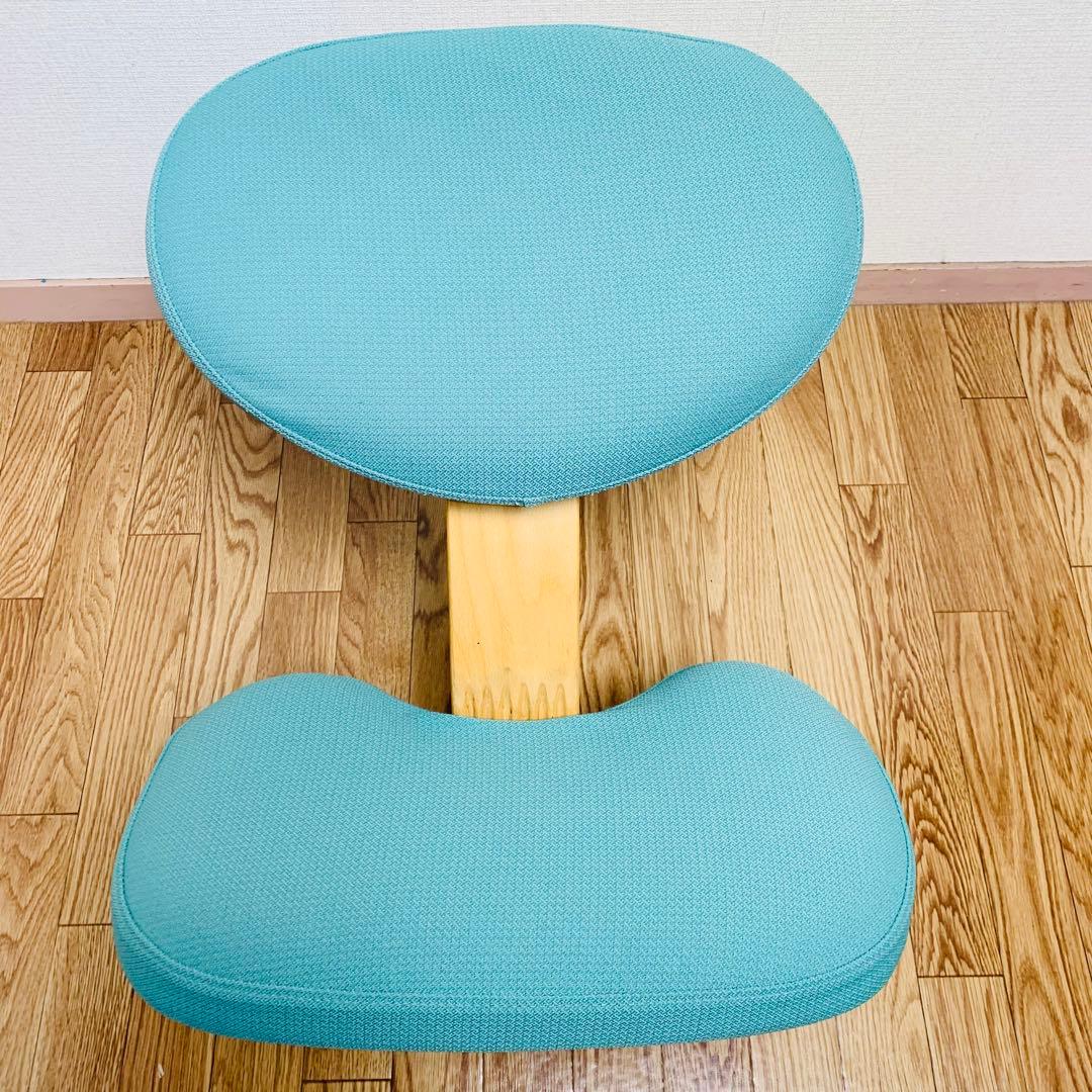 バランスチェア イージー カバー付 サカモトハウス (現バランスラボ）調節ガイド