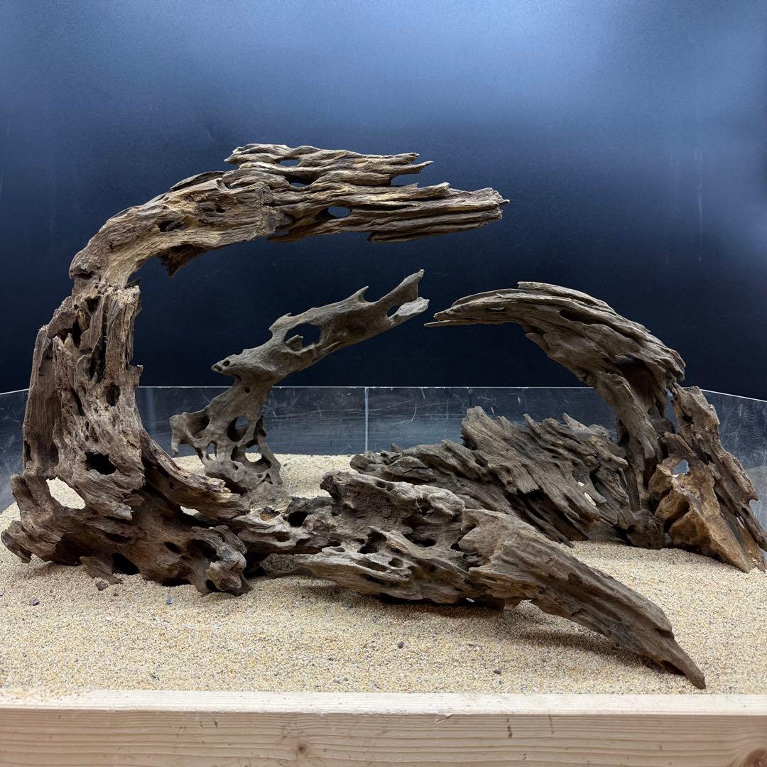 MMW-7138 マシンガンウッド　レイアウトセット　流木　アクアリウム
