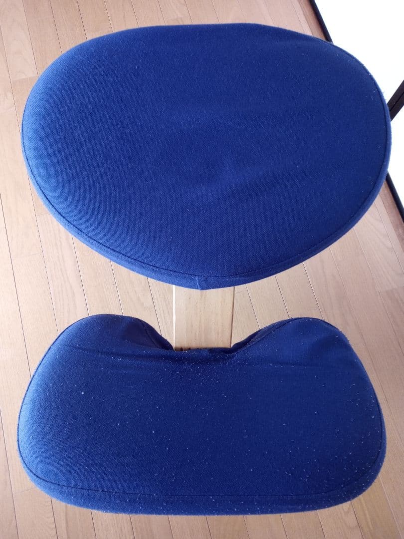 リボ社 バランスチェアイージー 替えカバー付き