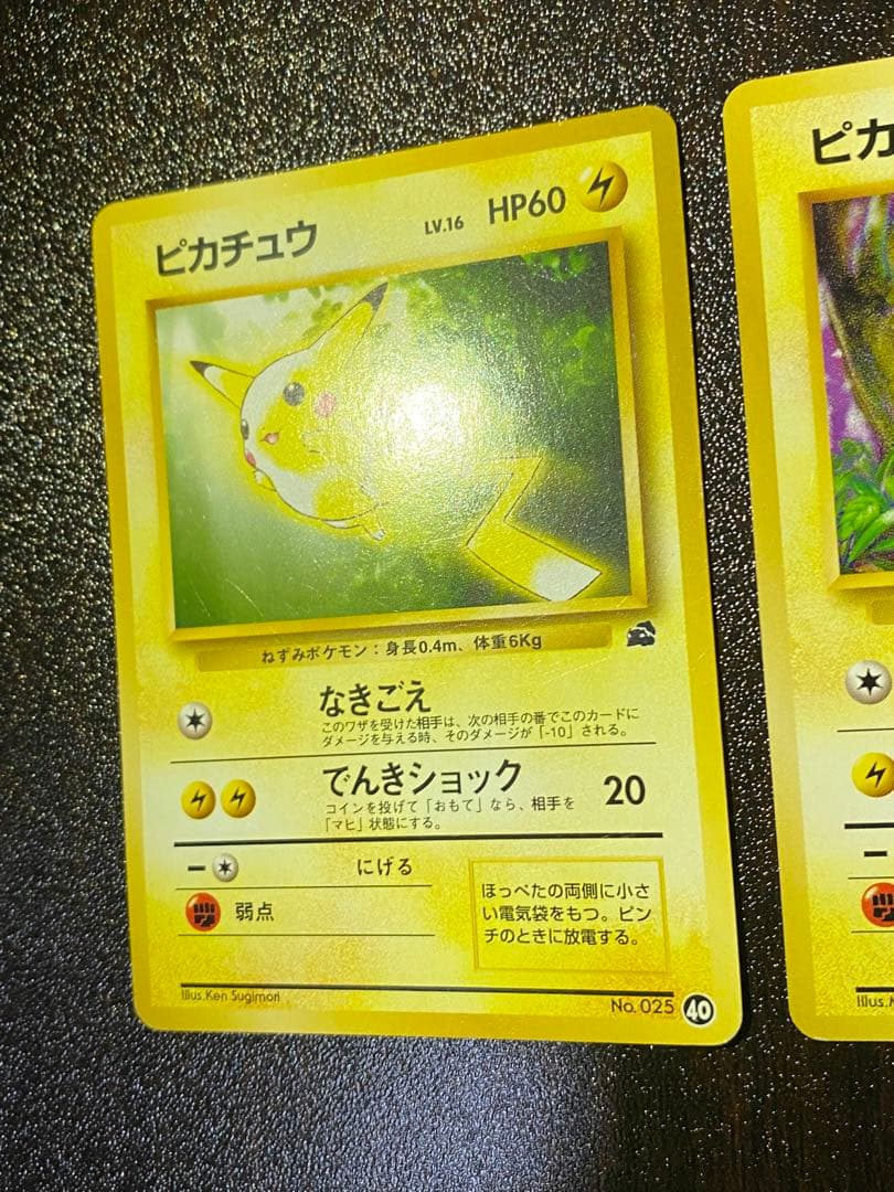 旧裏 イントロパック ピカチュウ 2種　希少　フシギダネマーク NO.25