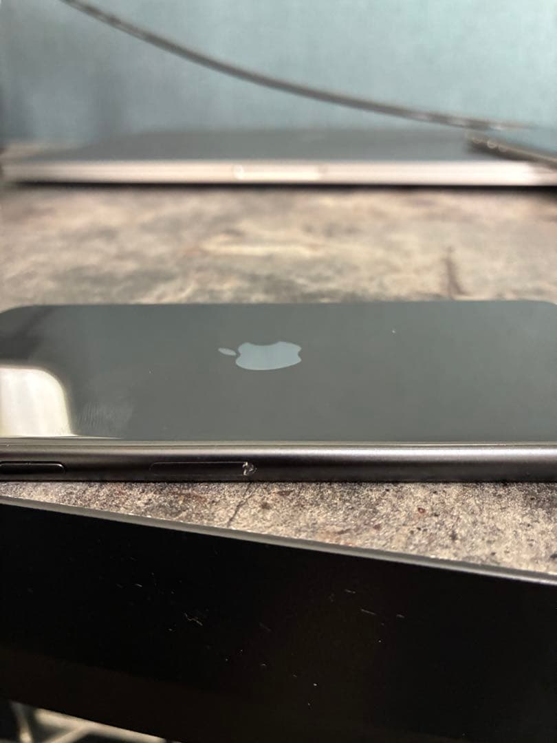 iPhone SE 第2世代 本体 au版 ケース・充電コード付 初期化済み