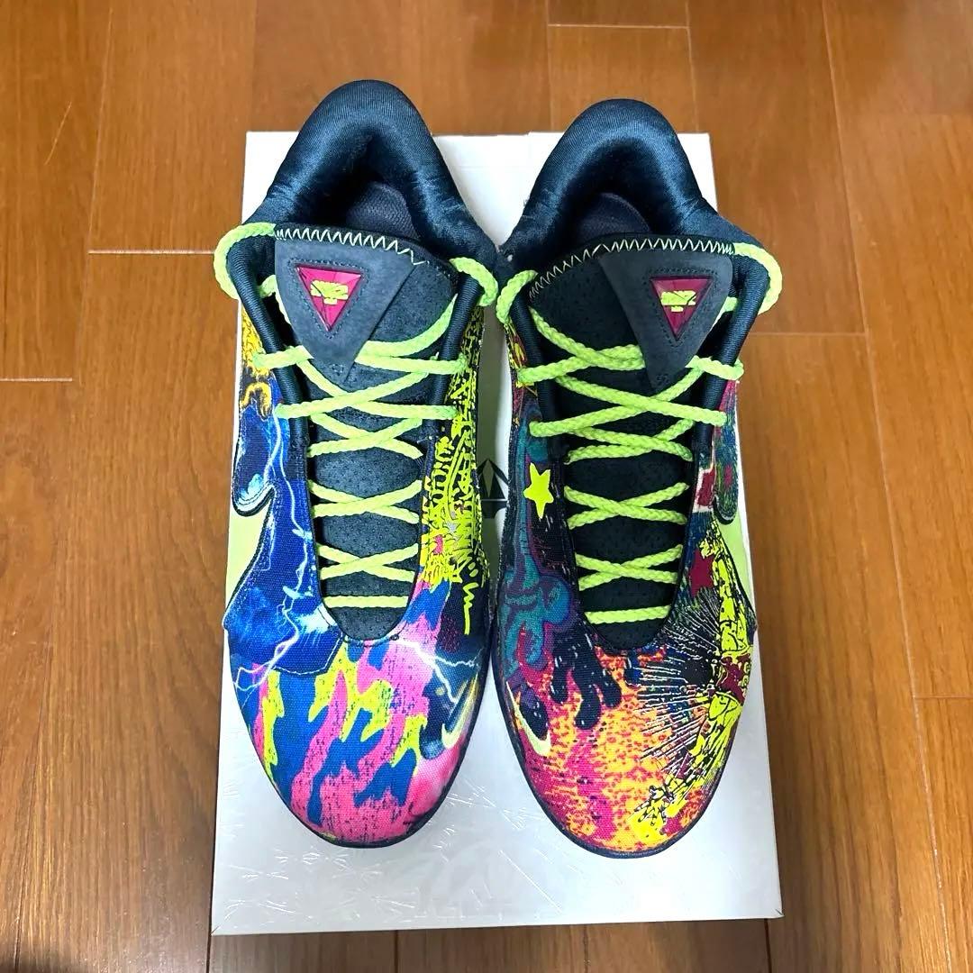 NIKE ナイキ レブロン22 BW EP 28cm