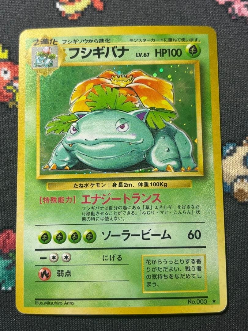 フシギバナ 旧裏２枚セット